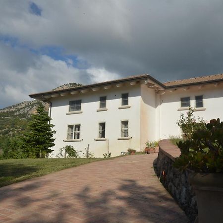 B&B Macchia D'Olmo 卡帕乔-帕埃斯图姆 外观 照片