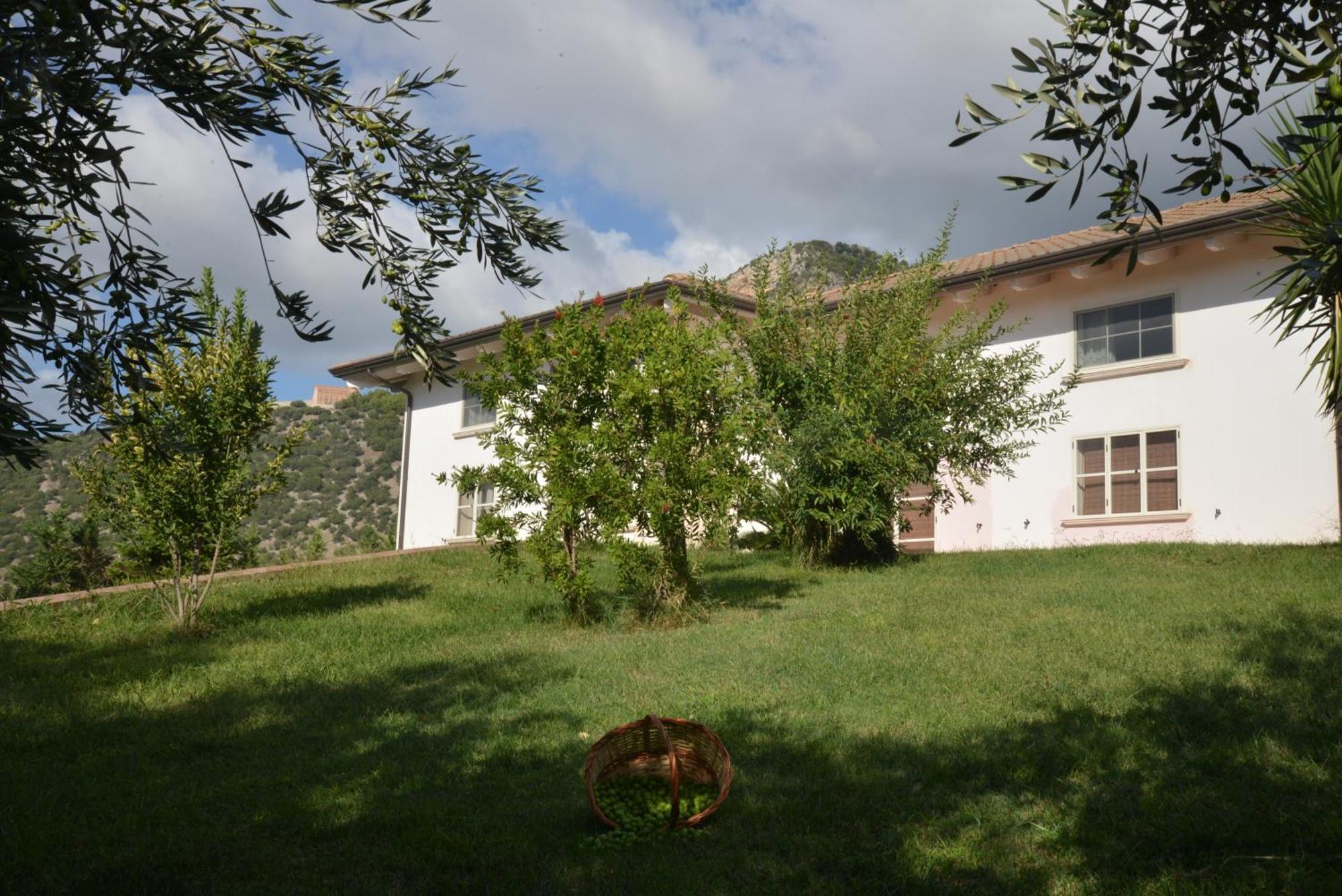B&B Macchia D'Olmo 卡帕乔-帕埃斯图姆 外观 照片