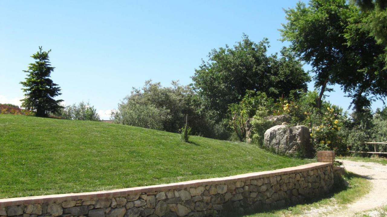 B&B Macchia D'Olmo 卡帕乔-帕埃斯图姆 外观 照片