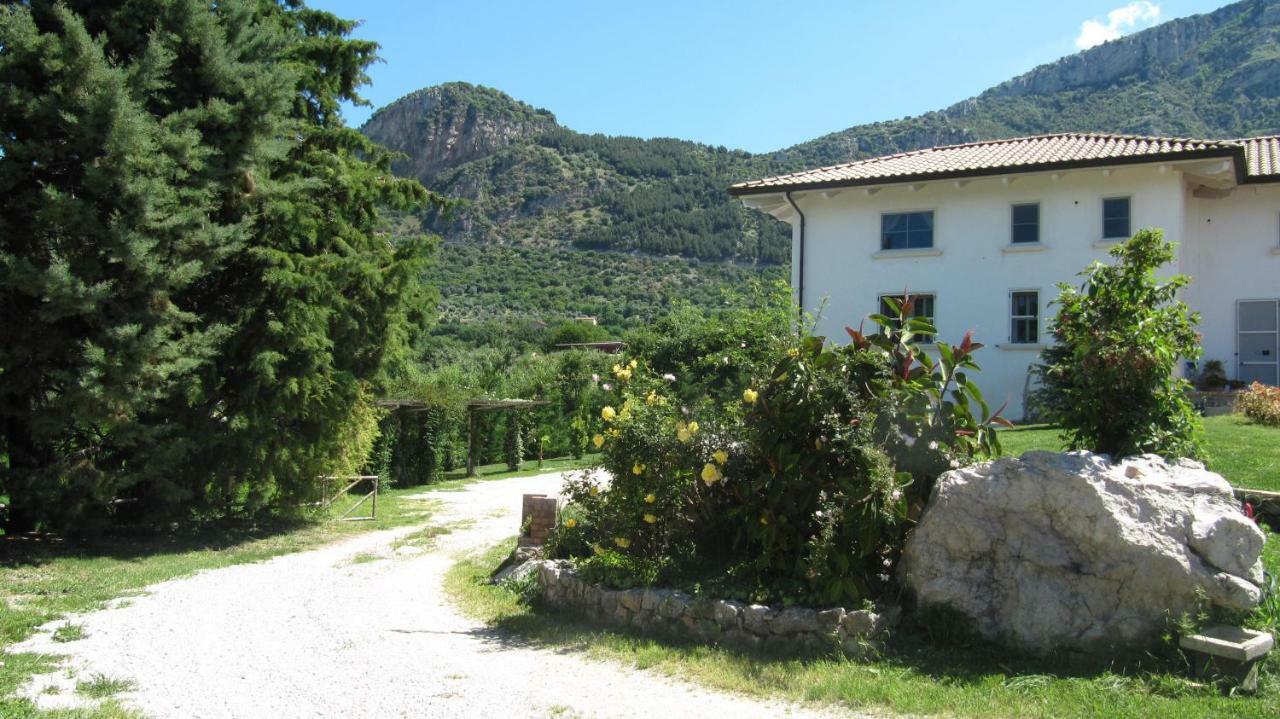B&B Macchia D'Olmo 卡帕乔-帕埃斯图姆 外观 照片